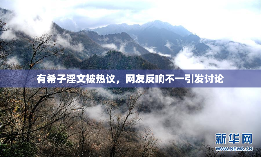 有希子淫文被热议，网友反响不一引发讨论