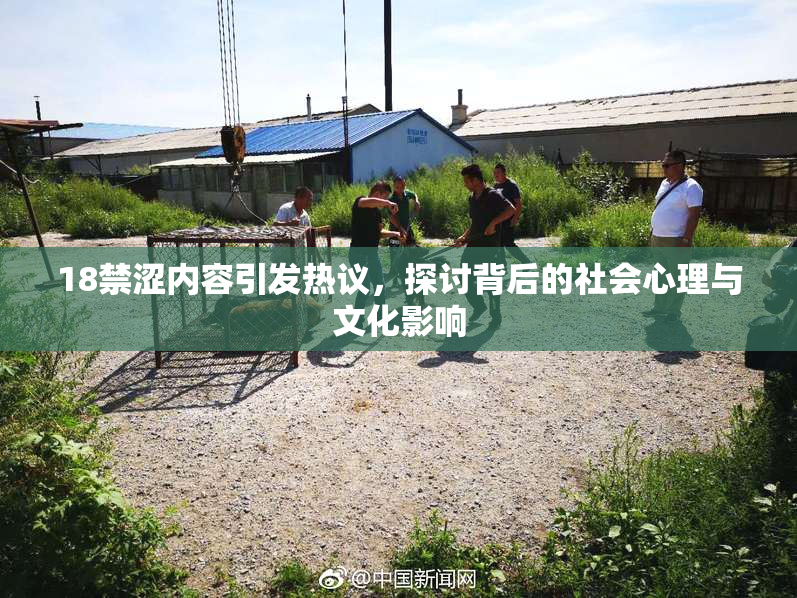 18禁涩内容引发热议，探讨背后的社会心理与文化影响