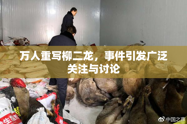 万人重写柳二龙，事件引发广泛关注与讨论