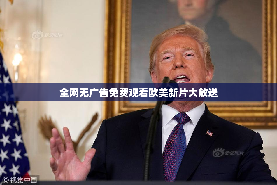 全网无广告免费观看欧美新片大放送