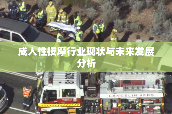 成人性按摩行业现状与未来发展分析