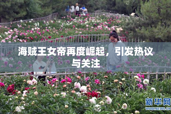 海贼王女帝再度崛起，引发热议与关注