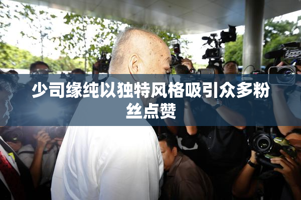 少司缘纯以独特风格吸引众多粉丝点赞