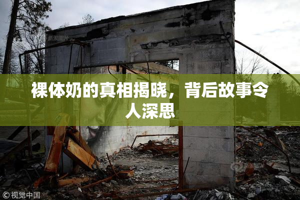 裸体奶的真相揭晓，背后故事令人深思