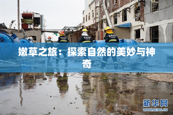 嫩草之旅：探索自然的美妙与神奇