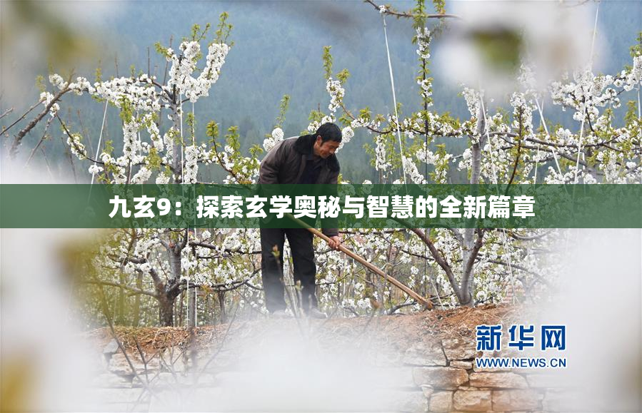 九玄9：探索玄学奥秘与智慧的全新篇章