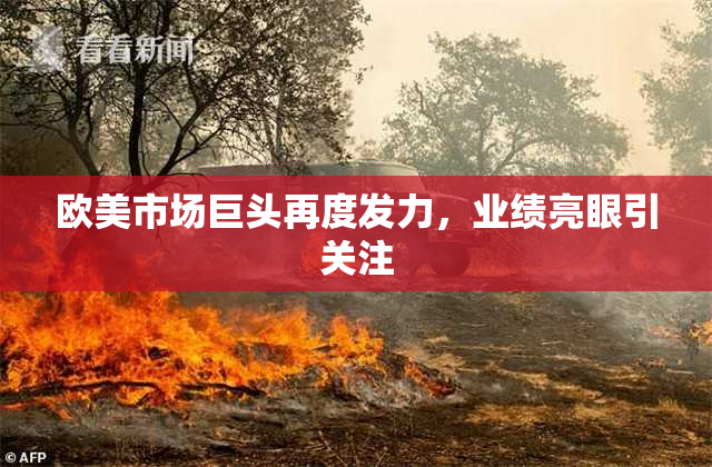 欧美市场巨头再度发力，业绩亮眼引关注