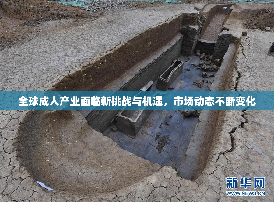 全球成人产业面临新挑战与机遇，市场动态不断变化