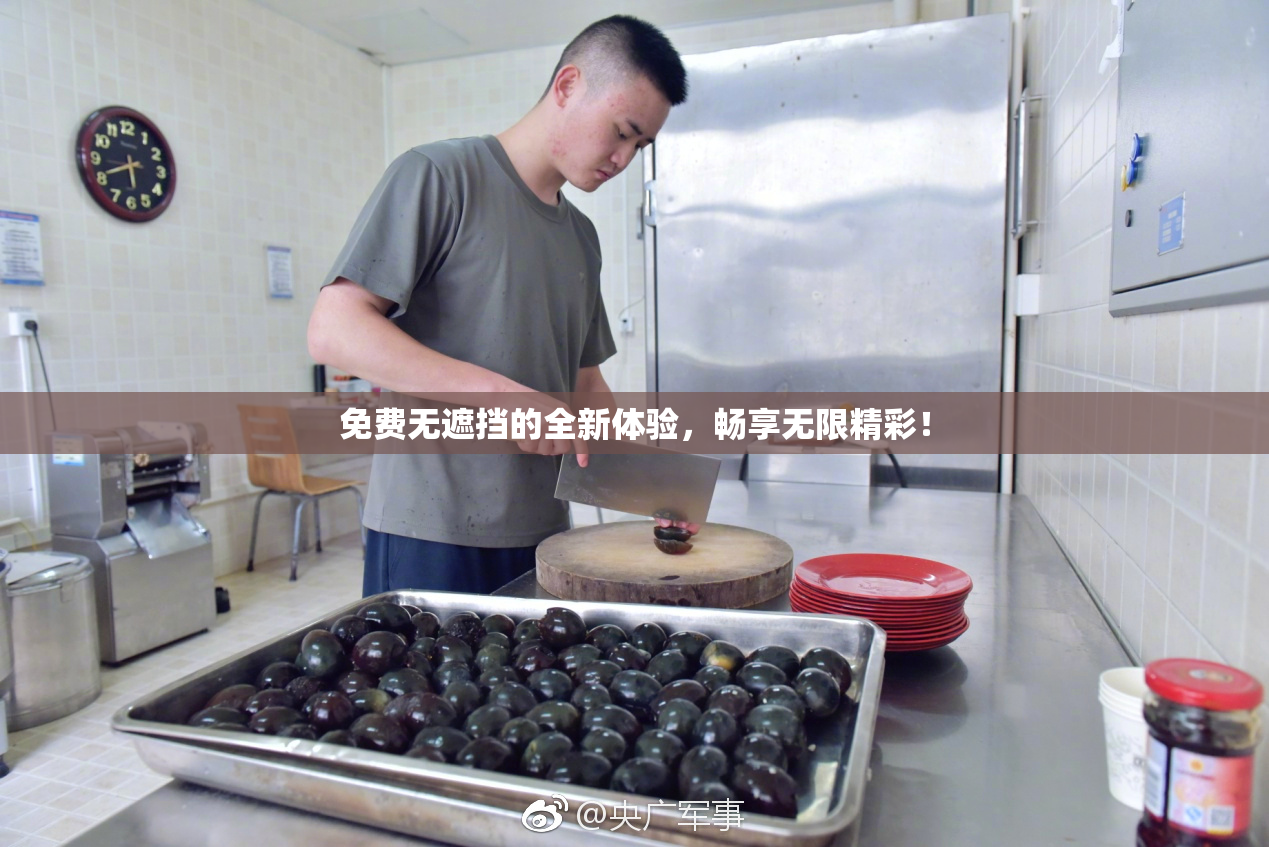 免费无遮挡的全新体验，畅享无限精彩！