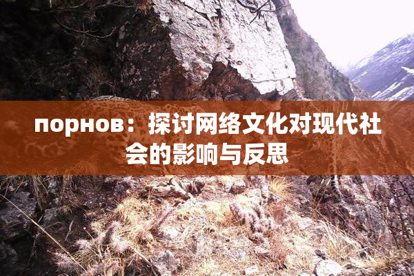 порнов：探讨网络文化对现代社会的影响与反思