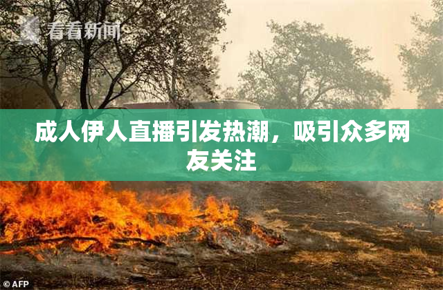 成人伊人直播引发热潮，吸引众多网友关注