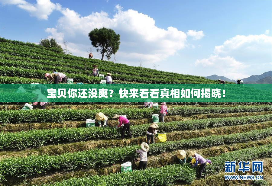 宝贝你还没爽？快来看看真相如何揭晓！