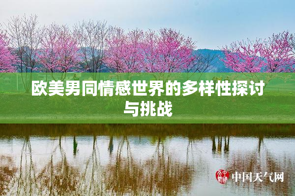 欧美男同情感世界的多样性探讨与挑战