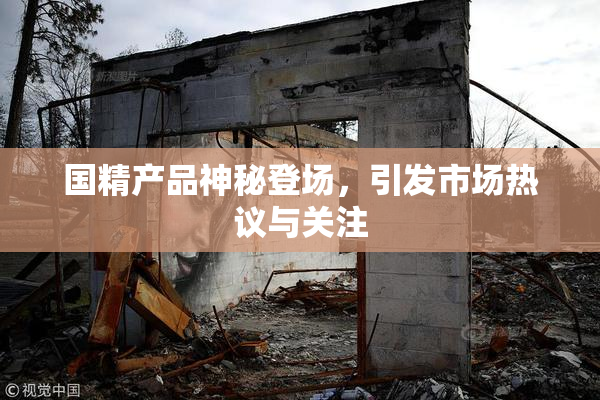国精产品神秘登场，引发市场热议与关注