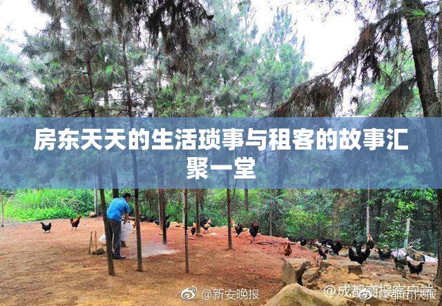 房东天天的生活琐事与租客的故事汇聚一堂
