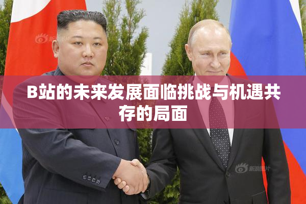 B站的未来发展面临挑战与机遇共存的局面