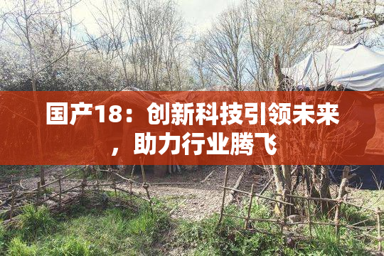 国产18：创新科技引领未来，助力行业腾飞