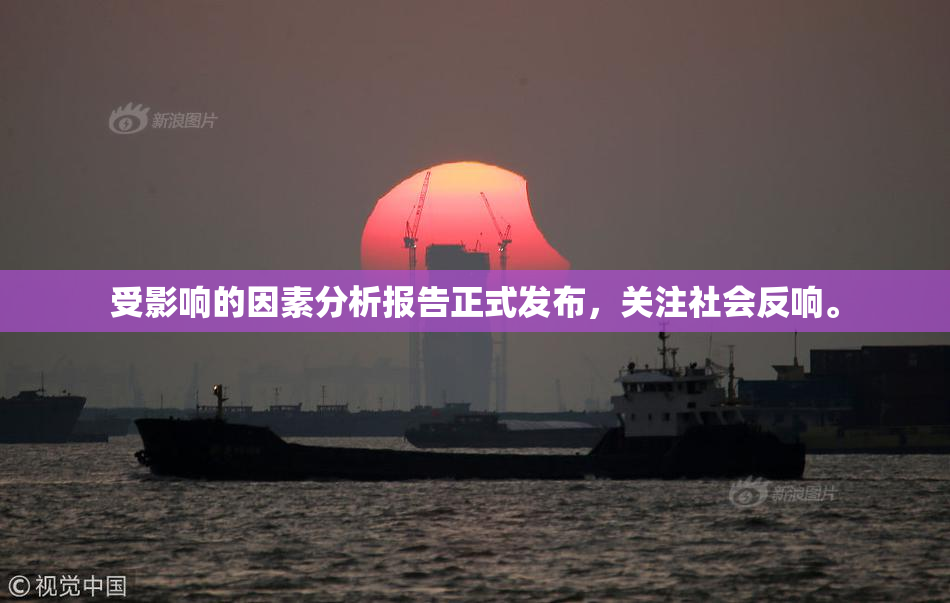 受影响的因素分析报告正式发布，关注社会反响。
