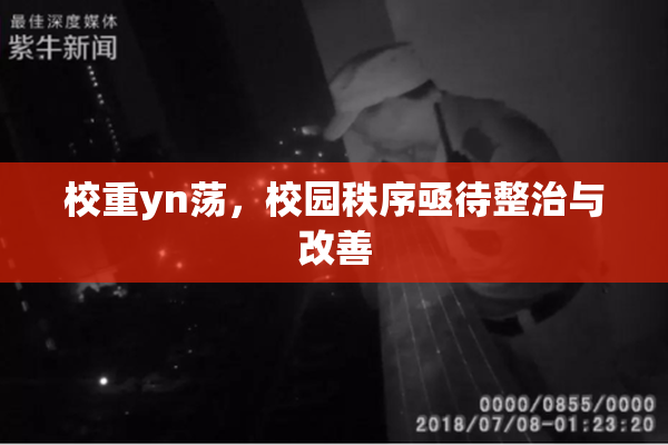 校重yn荡，校园秩序亟待整治与改善