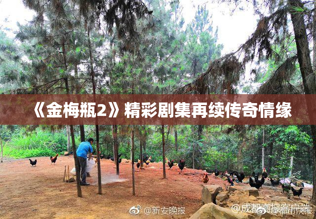 《金梅瓶2》精彩剧集再续传奇情缘