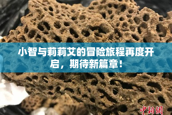 小智与莉莉艾的冒险旅程再度开启，期待新篇章！