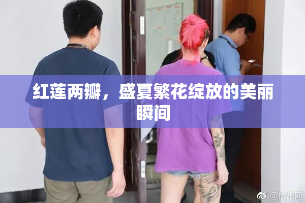 红莲两瓣，盛夏繁花绽放的美丽瞬间