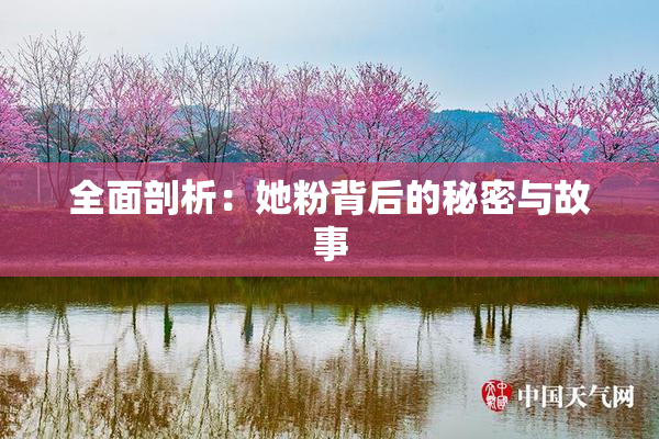 全面剖析：她粉背后的秘密与故事