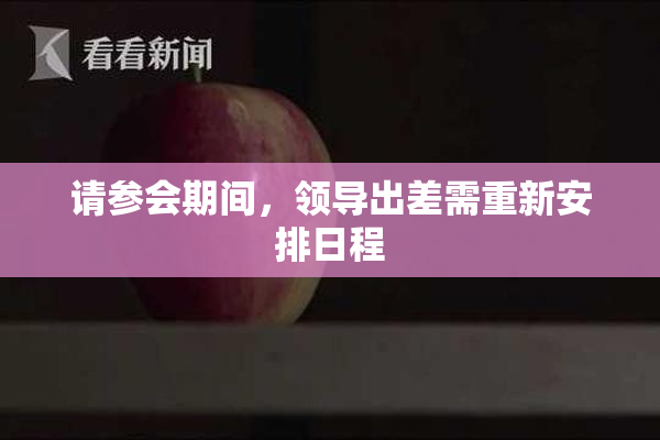 请参会期间，领导出差需重新安排日程