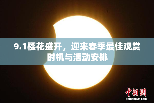 9.1樱花盛开，迎来春季最佳观赏时机与活动安排