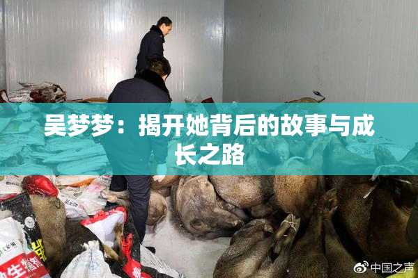 吴梦梦：揭开她背后的故事与成长之路