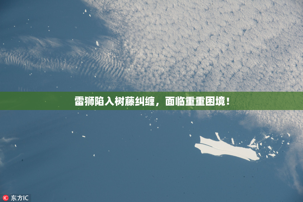 雷狮陷入树藤纠缠，面临重重困境！