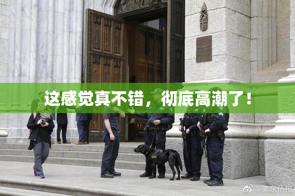 这感觉真不错，彻底高潮了！