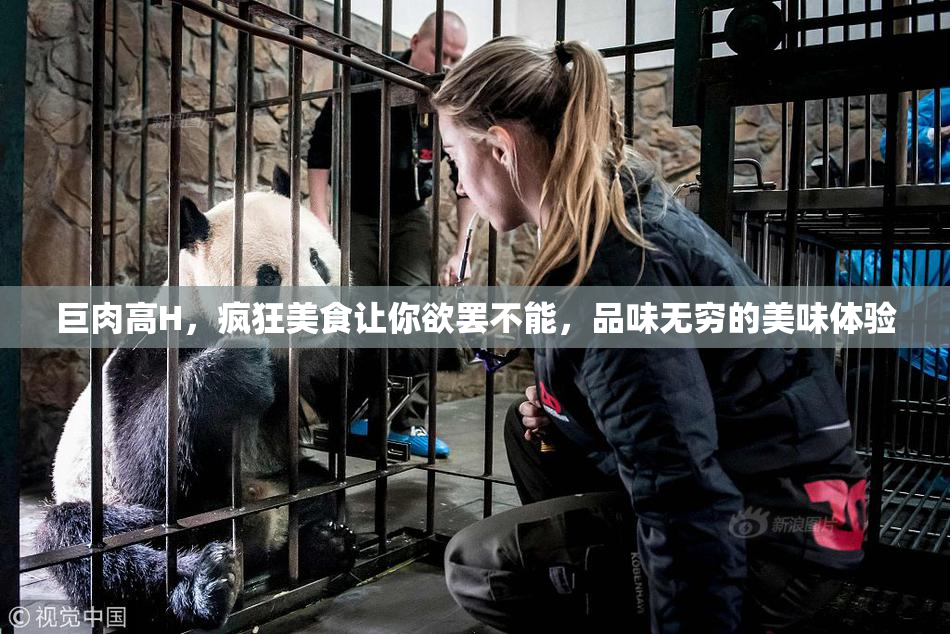 巨肉高H，疯狂美食让你欲罢不能，品味无穷的美味体验