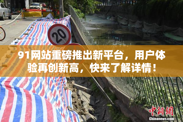 91网站重磅推出新平台，用户体验再创新高，快来了解详情！