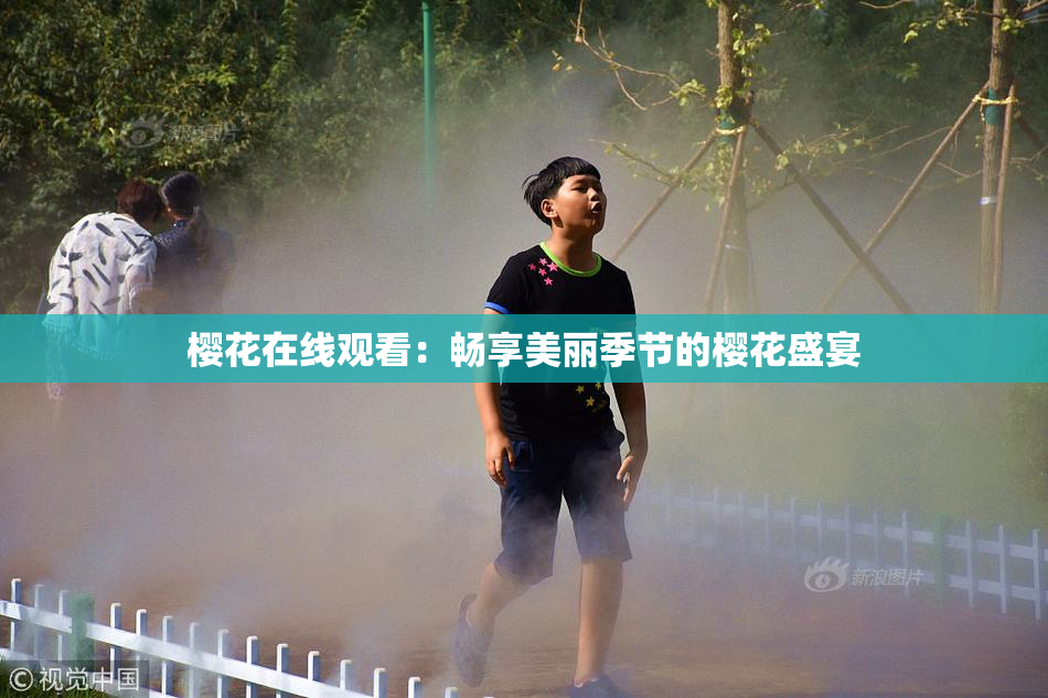 樱花在线观看：畅享美丽季节的樱花盛宴