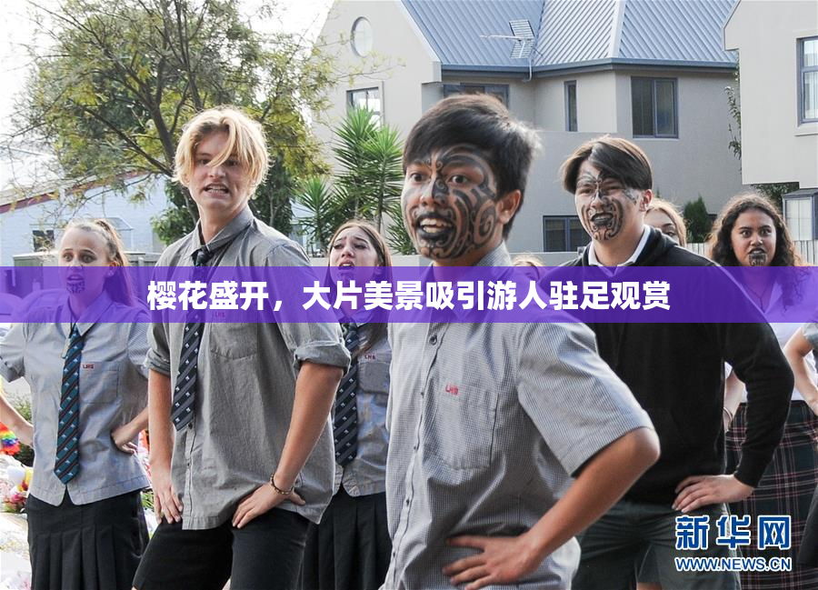 樱花盛开，大片美景吸引游人驻足观赏