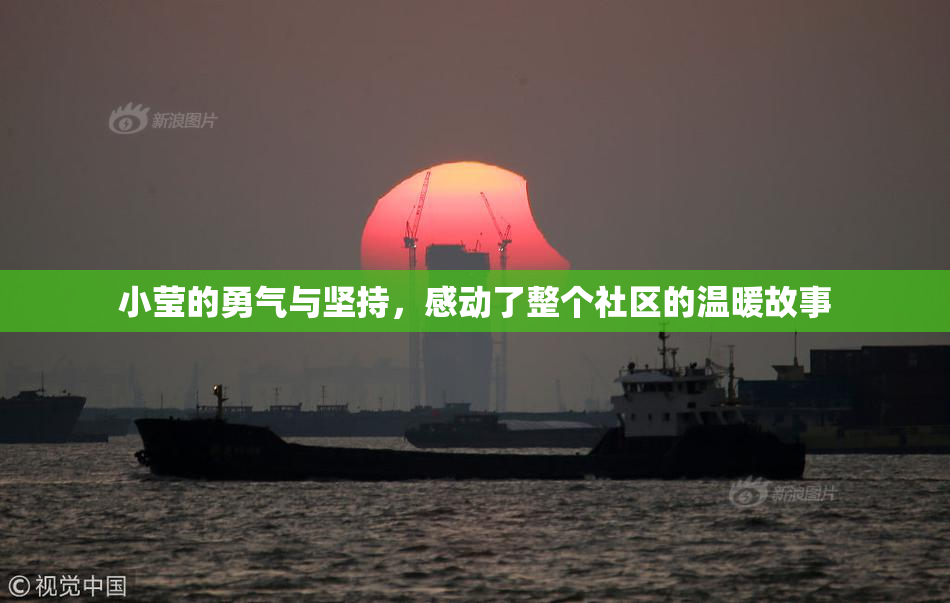 小莹的勇气与坚持，感动了整个社区的温暖故事