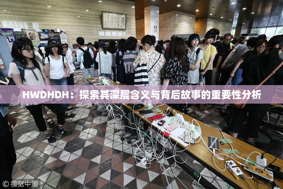 HWDHDH：探索其深层含义与背后故事的重要性分析