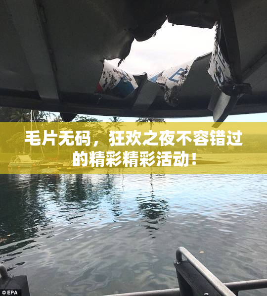 毛片无码，狂欢之夜不容错过的精彩精彩活动！