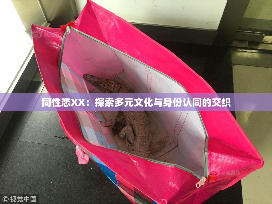 同性恋XX：探索多元文化与身份认同的交织