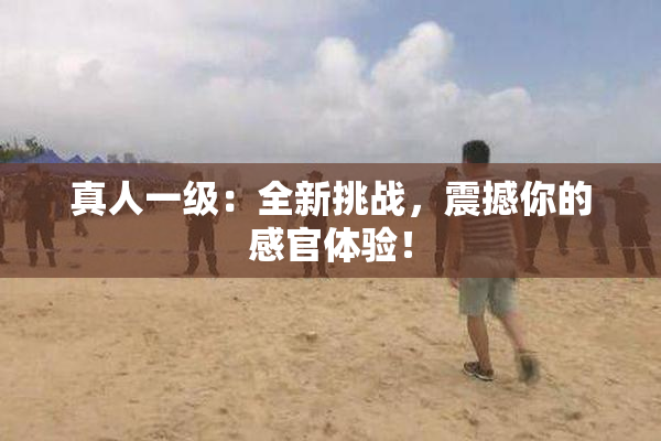 真人一级：全新挑战，震撼你的感官体验！