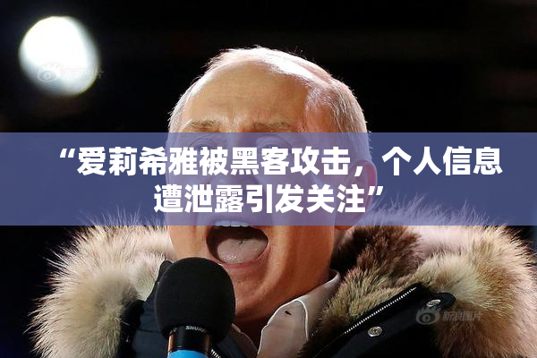 “爱莉希雅被黑客攻击，个人信息遭泄露引发关注”
