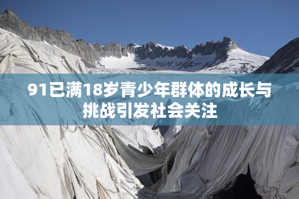 91已满18岁青少年群体的成长与挑战引发社会关注