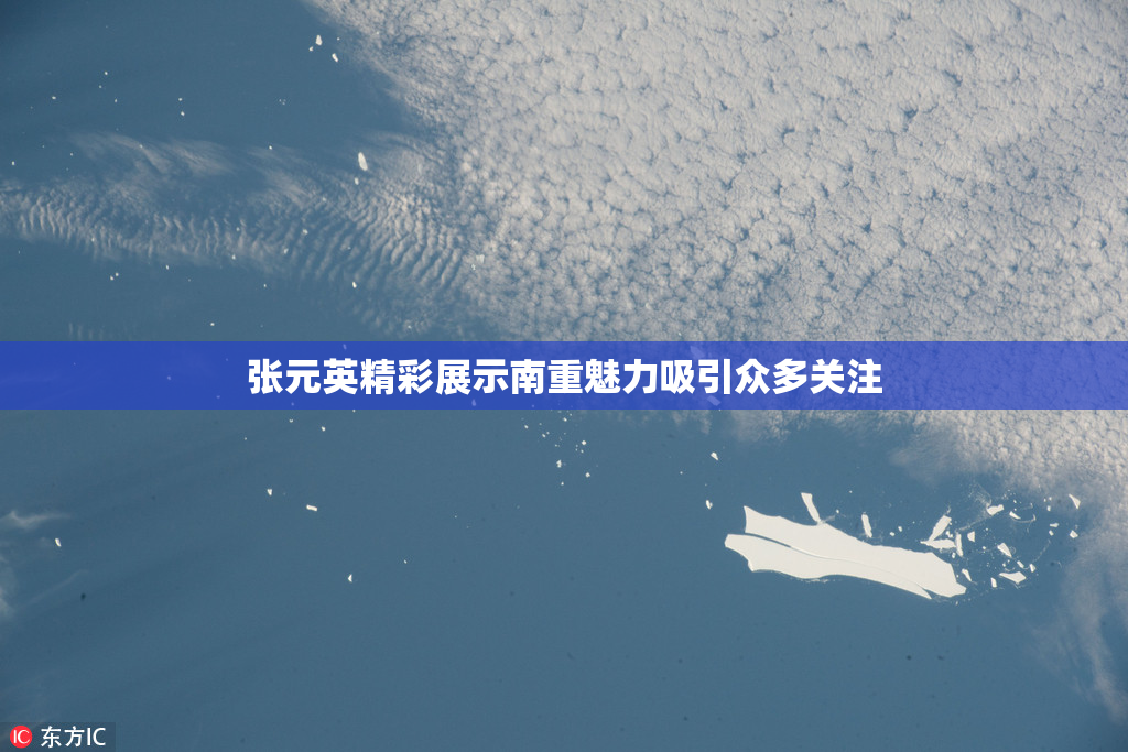 张元英精彩展示南重魅力吸引众多关注