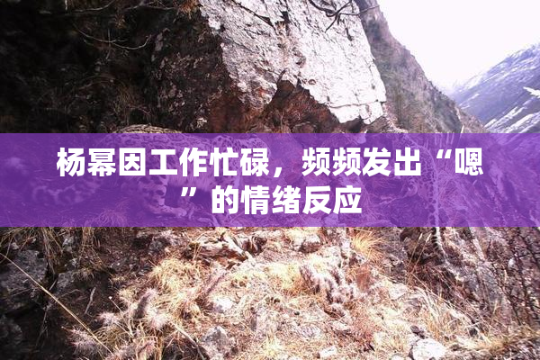 杨幂因工作忙碌，频频发出“嗯”的情绪反应