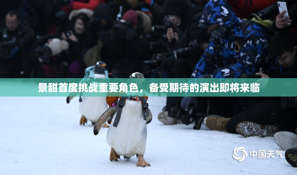 景甜首度挑战重要角色，备受期待的演出即将来临