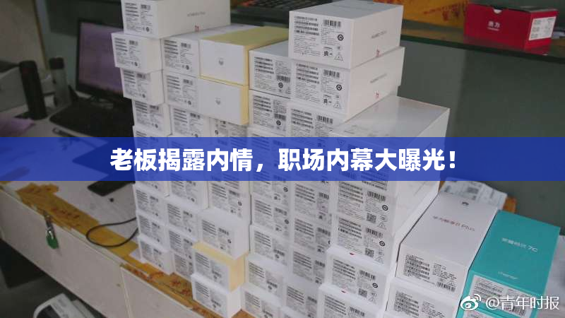 老板揭露内情，职场内幕大曝光！