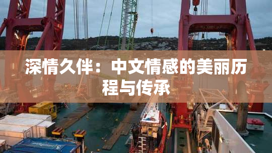 深情久伴：中文情感的美丽历程与传承