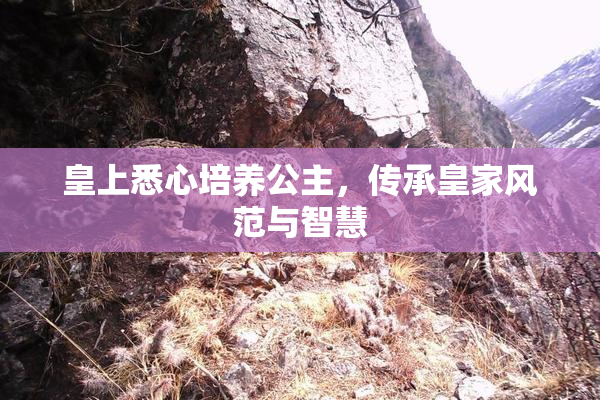 皇上悉心培养公主，传承皇家风范与智慧