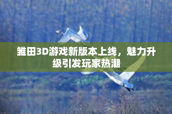 雏田3D游戏新版本上线，魅力升级引发玩家热潮